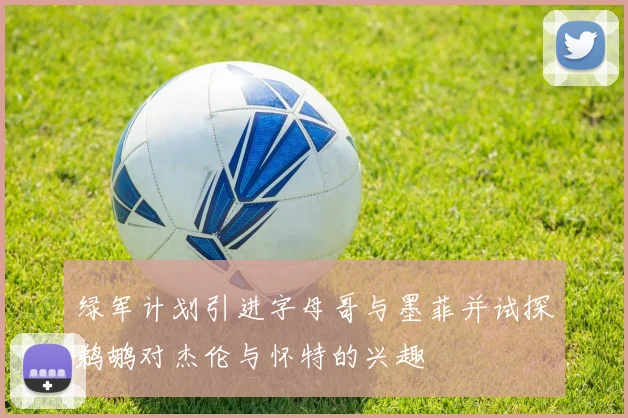 绿军计划引进字母哥与墨菲并试探鹈鹕对杰伦与怀特的兴趣