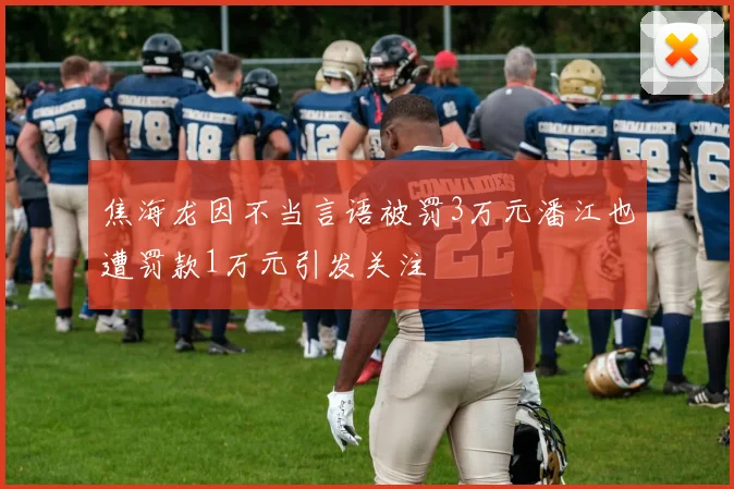 焦海龙因不当言语被罚3万元潘江也遭罚款1万元引发关注